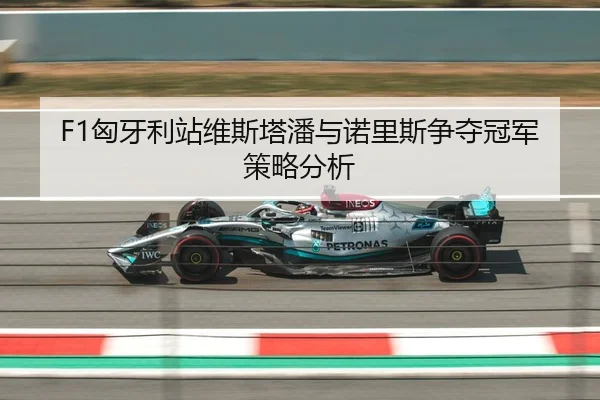 F1匈牙利站维斯塔潘与诺里斯争夺冠军策略分析